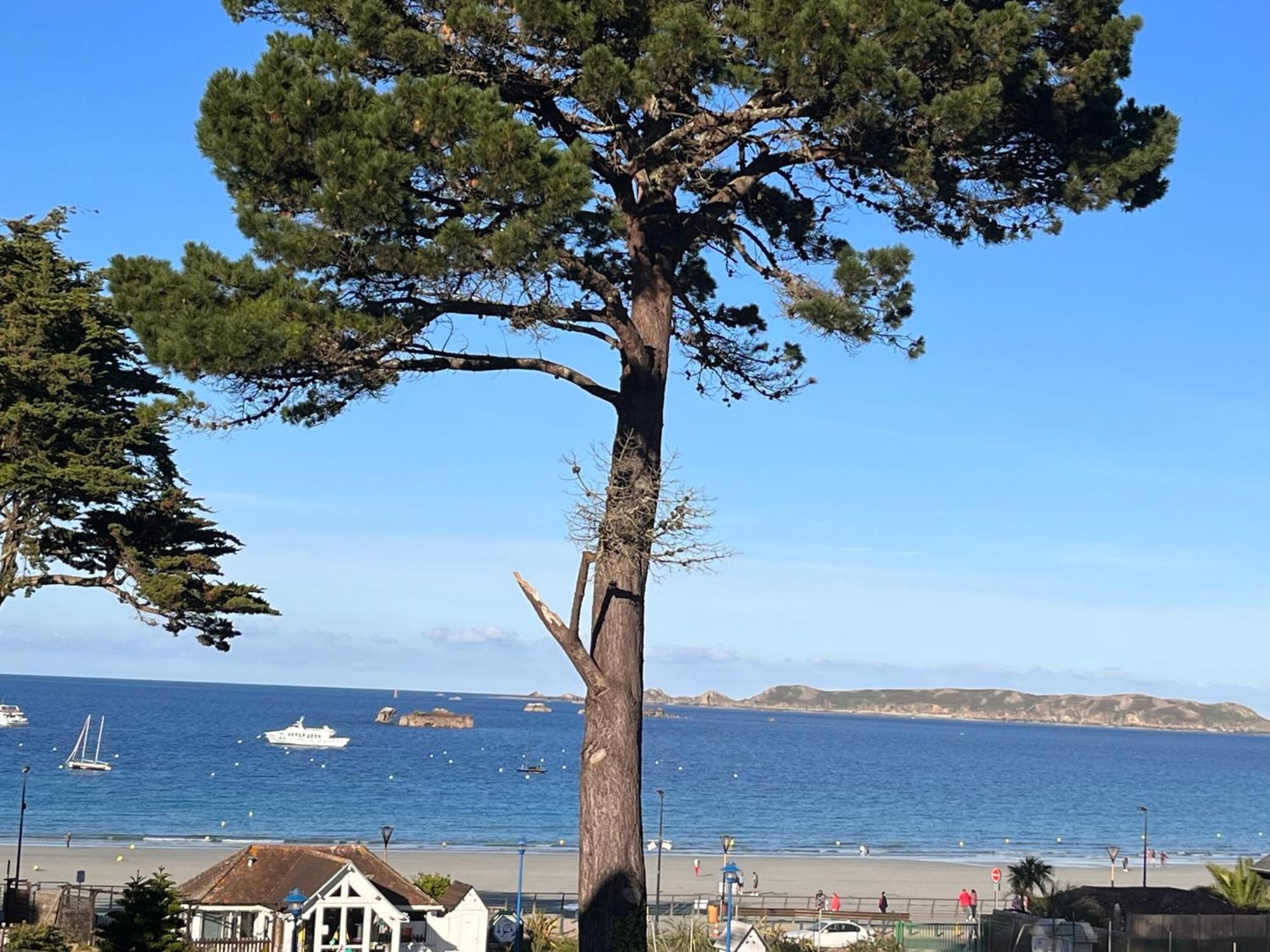 Appartement Acces Plage Perros-Guirec Dış mekan fotoğraf